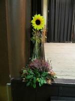 večer s Věrovankou